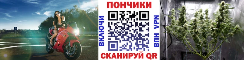 Купить закладку Амфетамин Меф Кокаин Альфа ПВП NBOMe Каннабис Гашиш Гвардейск