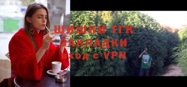 ALPHA PVP Покров
