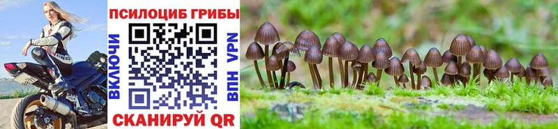 Купить  Гвардейск  Галлюциногенные грибы ЛСД 